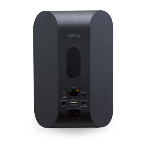 Bluesound Professional BSP125 - Мрежова активна токолона Bluesound Professional BSP125, BluOS speaker, streaming speaker, commercial audio, network speaker, wall mount speaker, Hi-Res audio, multiroom audio, SoundMachine